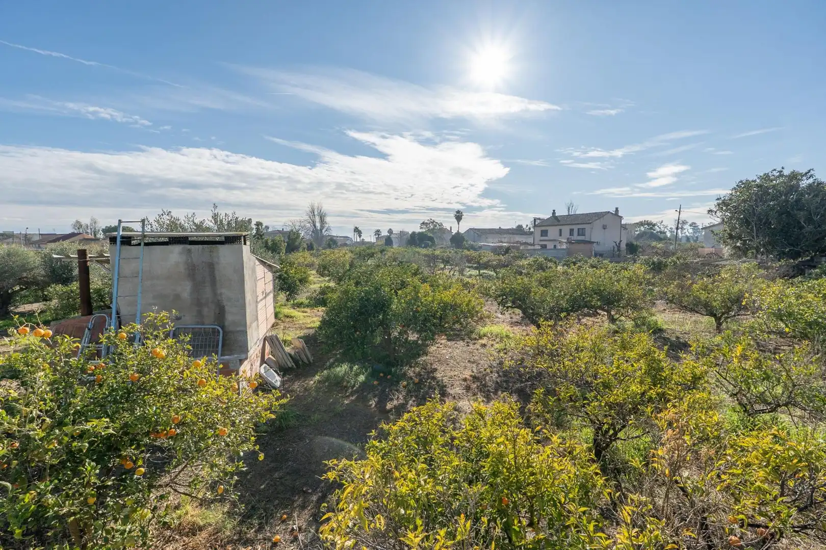 Casa o xalet en venda en Deltebre amb Jardí privat i Piscina