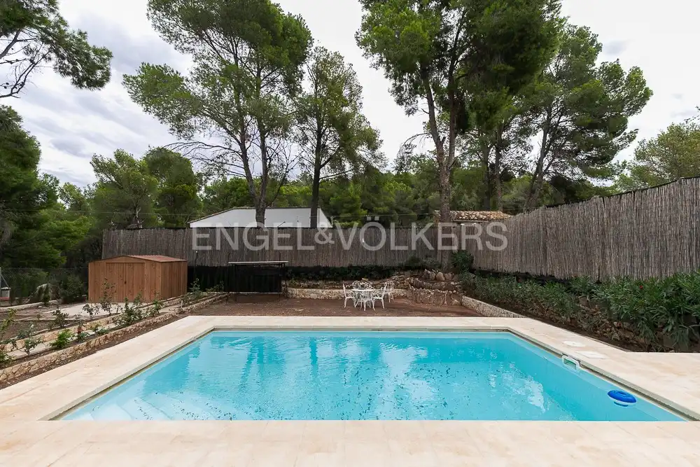 Swimming pool of Houses for rent in Náquera  with Heating, Private garden and Parquet flooring