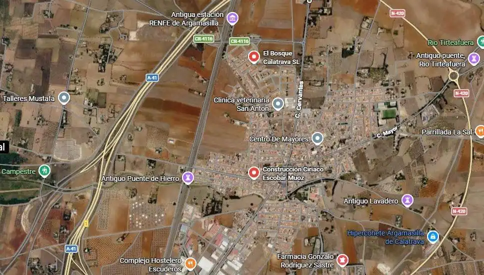 Terreno rustico in vendita a Argamasilla de Calatrava, imagen 2