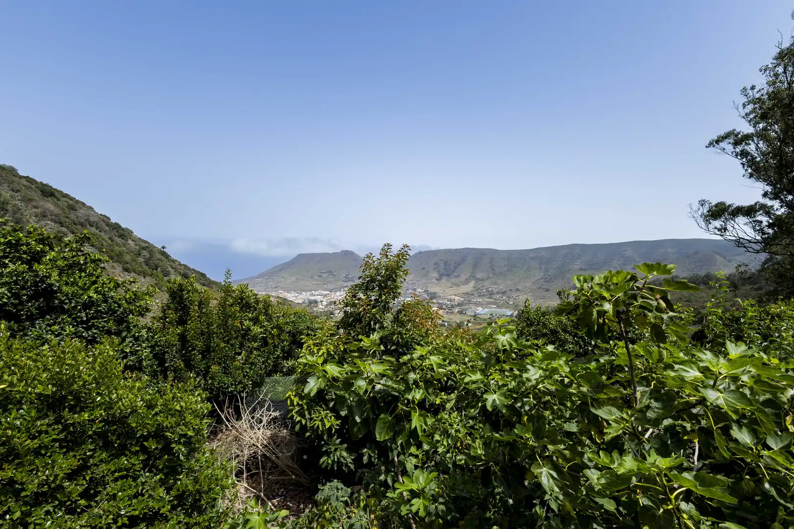 Rural land for sale in Tegueste, imagen 19