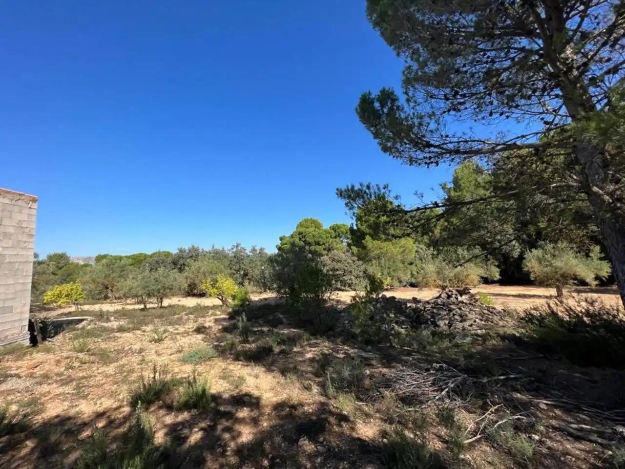 Chalet en venta en Banyeres de Mariola, imagen 45