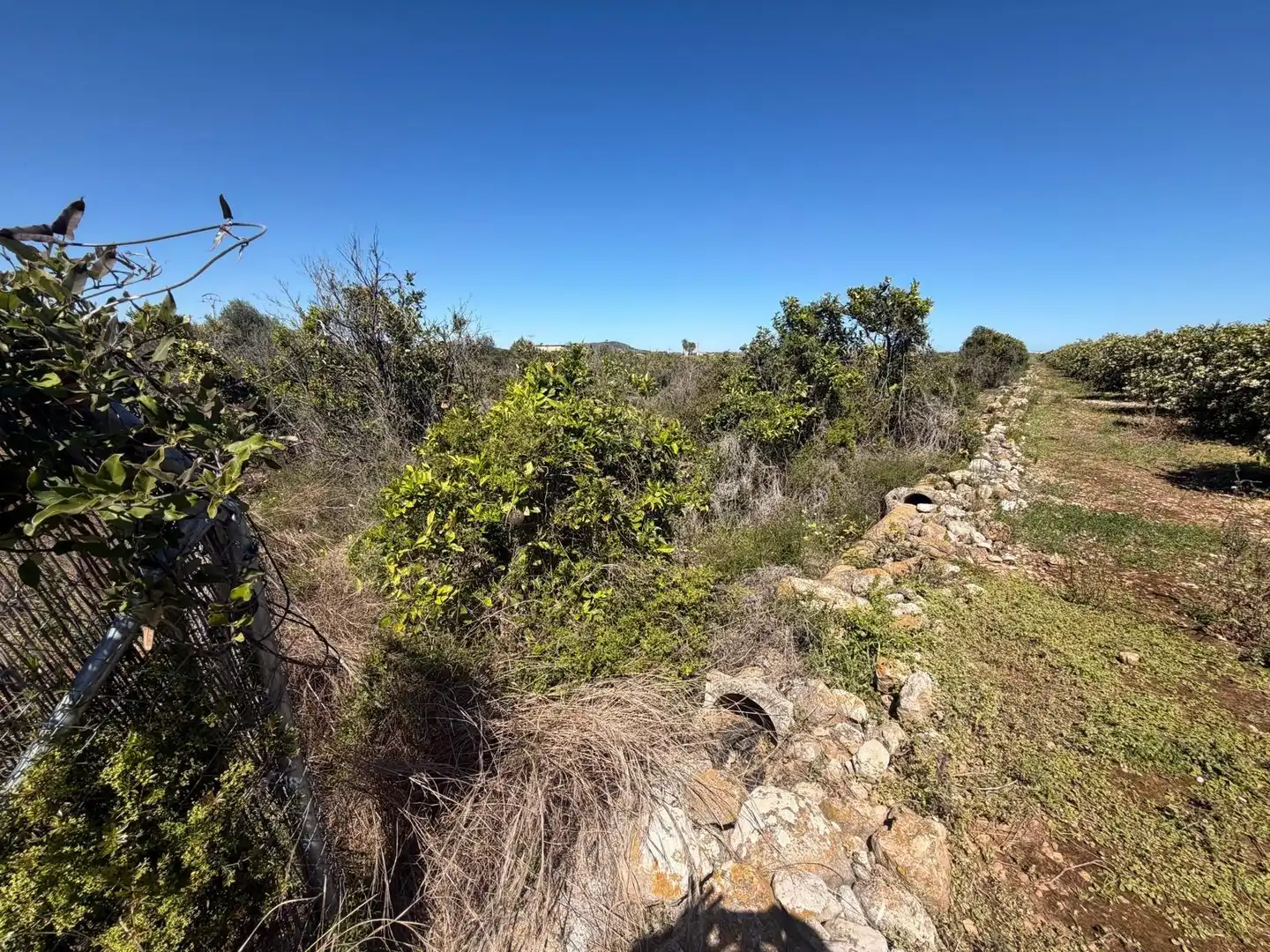 Rural land for sale in Pego, imagen 13