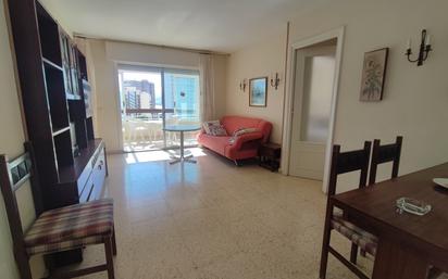 Sala d'estar de Pis en venda en Benidorm amb Jardí privat, Terrassa i Piscina