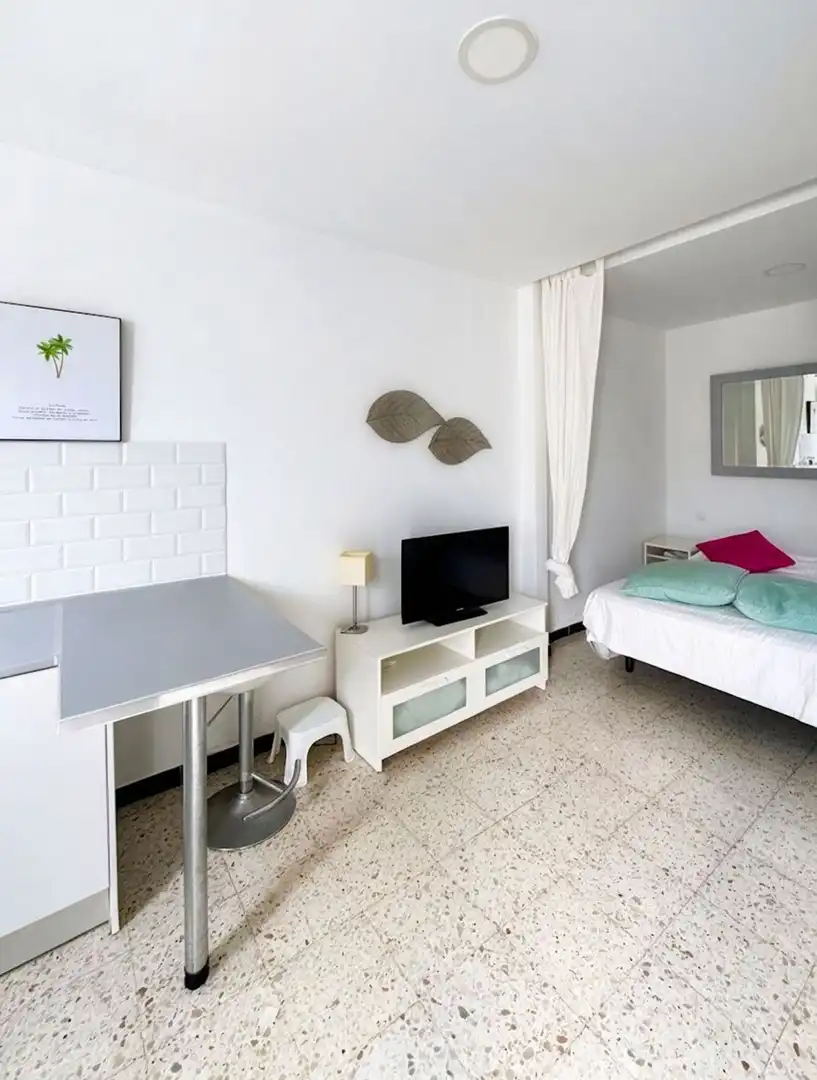 Sala de estar de Piso de alquiler en Las Palmas de Gran Canaria con Jardín privado y Terraza