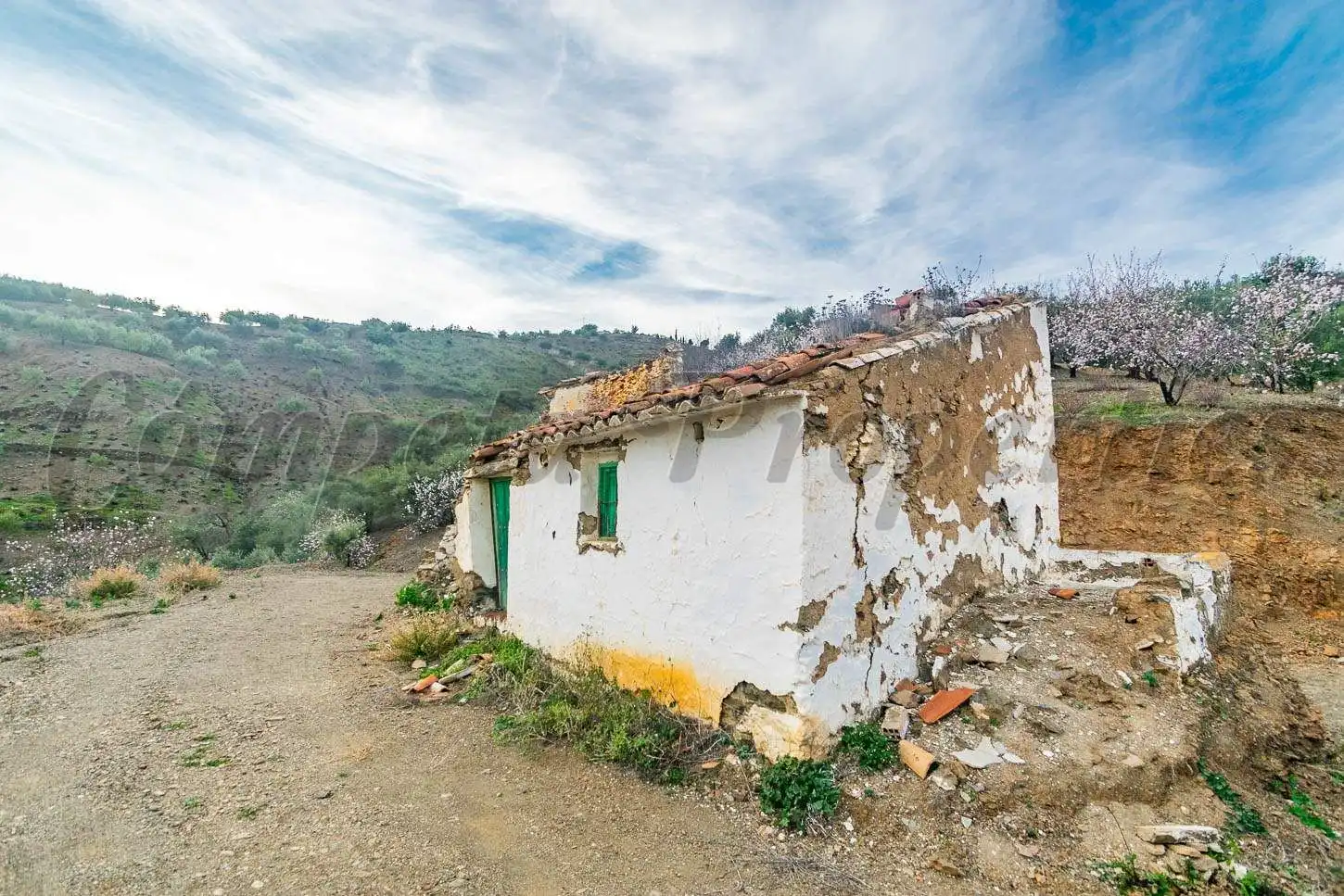 Terreno rustico in vendita a Árchez