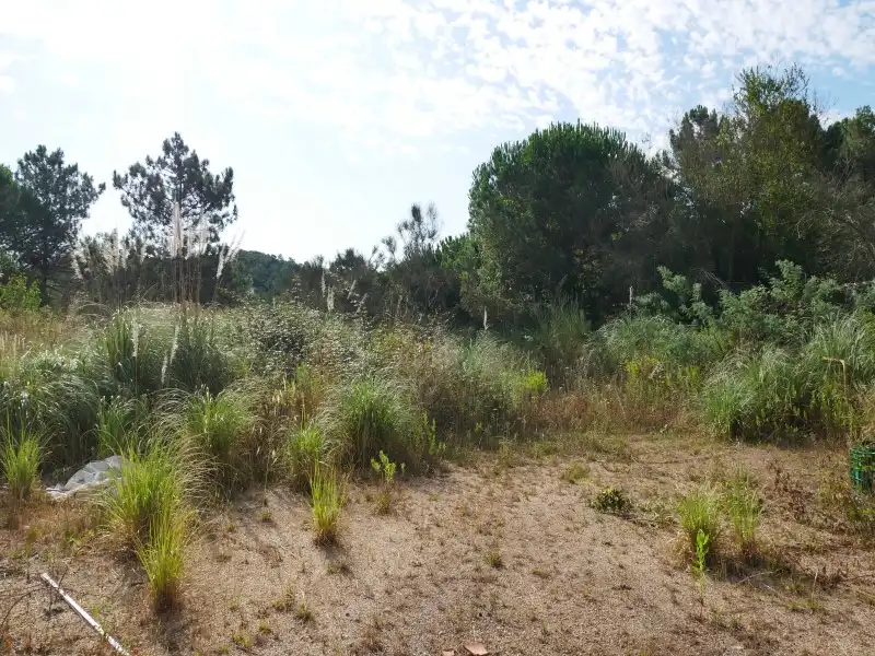 Residential land for sale in Avinguda Rafael Albertí 46, imagen 26