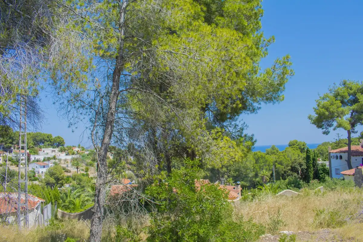 Wohnbaugrundstück zum Verkauf in La Fustera, imagen 13