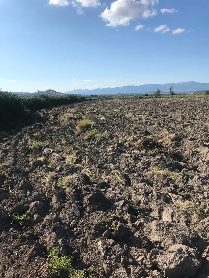Rustikales Grundstück zum Verkauf in Navarrete, imagen 3