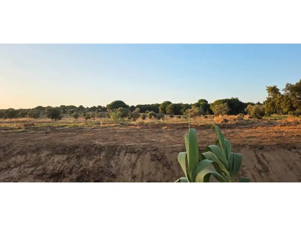 Terreny residencial en venda a Villablanca, imagen 3
