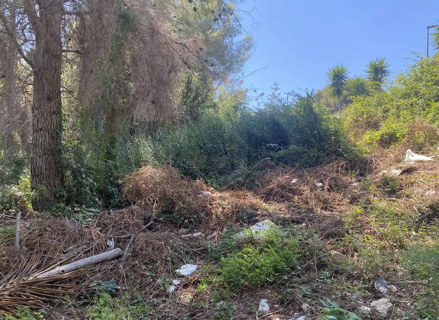 Residential land for sale in Urbanitzacions de Llevant, imagen 5