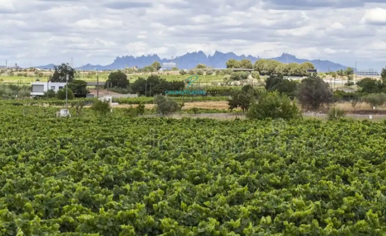 Terreny residencial en venda a Avinyonet del Penedès