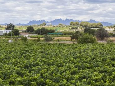 Terreny residencial en venda a Avinyonet del Penedès