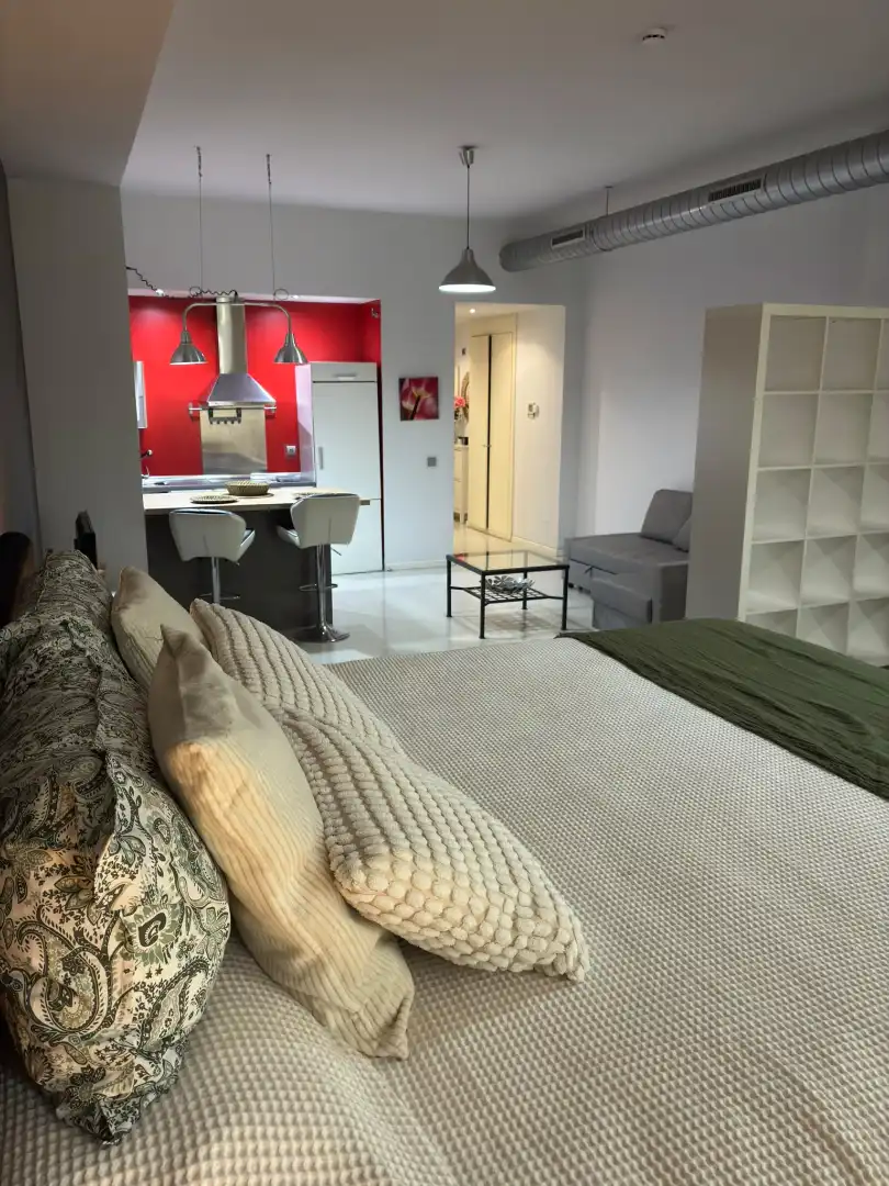 Loft amb ascensor de lloguer a Calle Thomas Edison, imagen 6