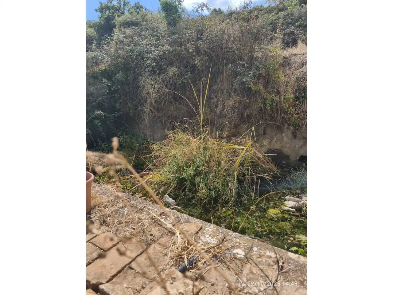 Land for sale in Calle Manuel León, Cortegana