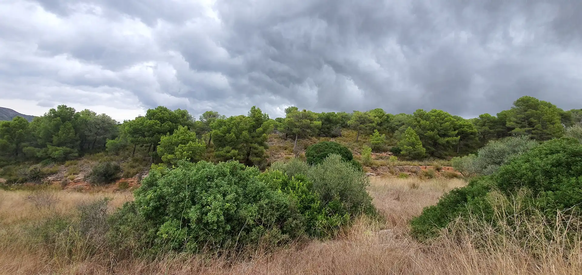 Rustikales Grundstück zum Verkauf in El Pinell de Brai, imagen 7