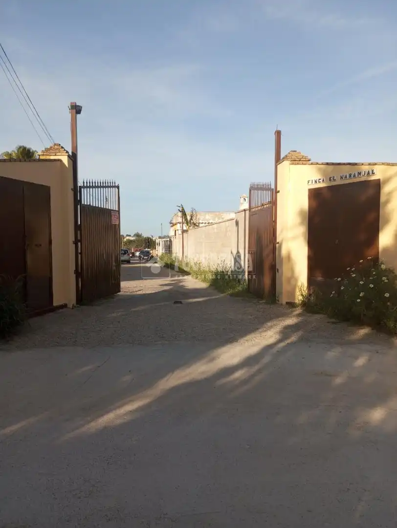 Vista exterior de Finca rústica en venta en Coria del Río