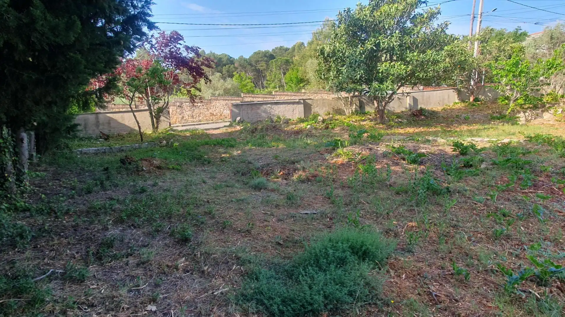 Terreny residencial en venda a La Torre de Claramunt, imagen 9