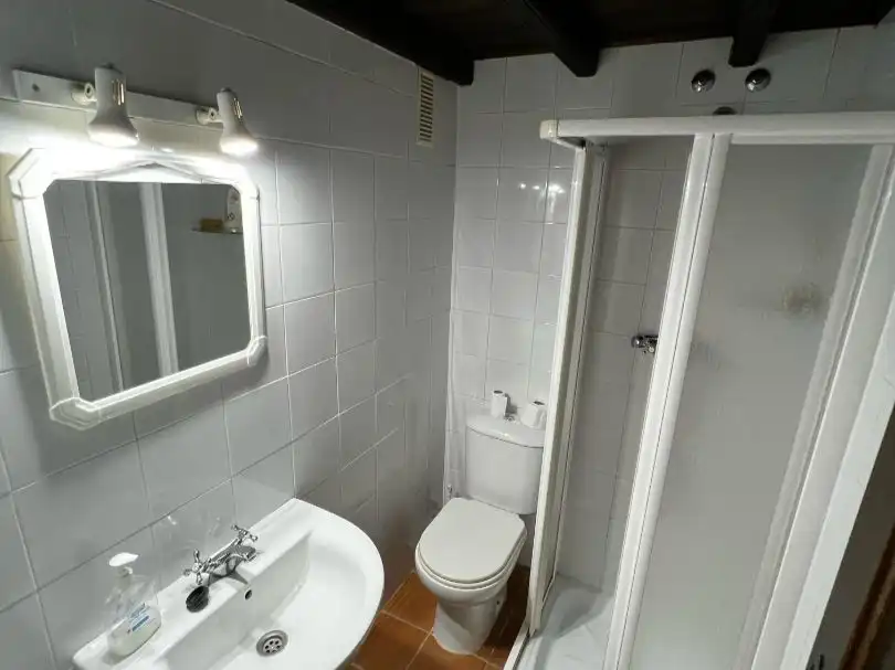Bathroom of Apartments for rent in El Rocío  