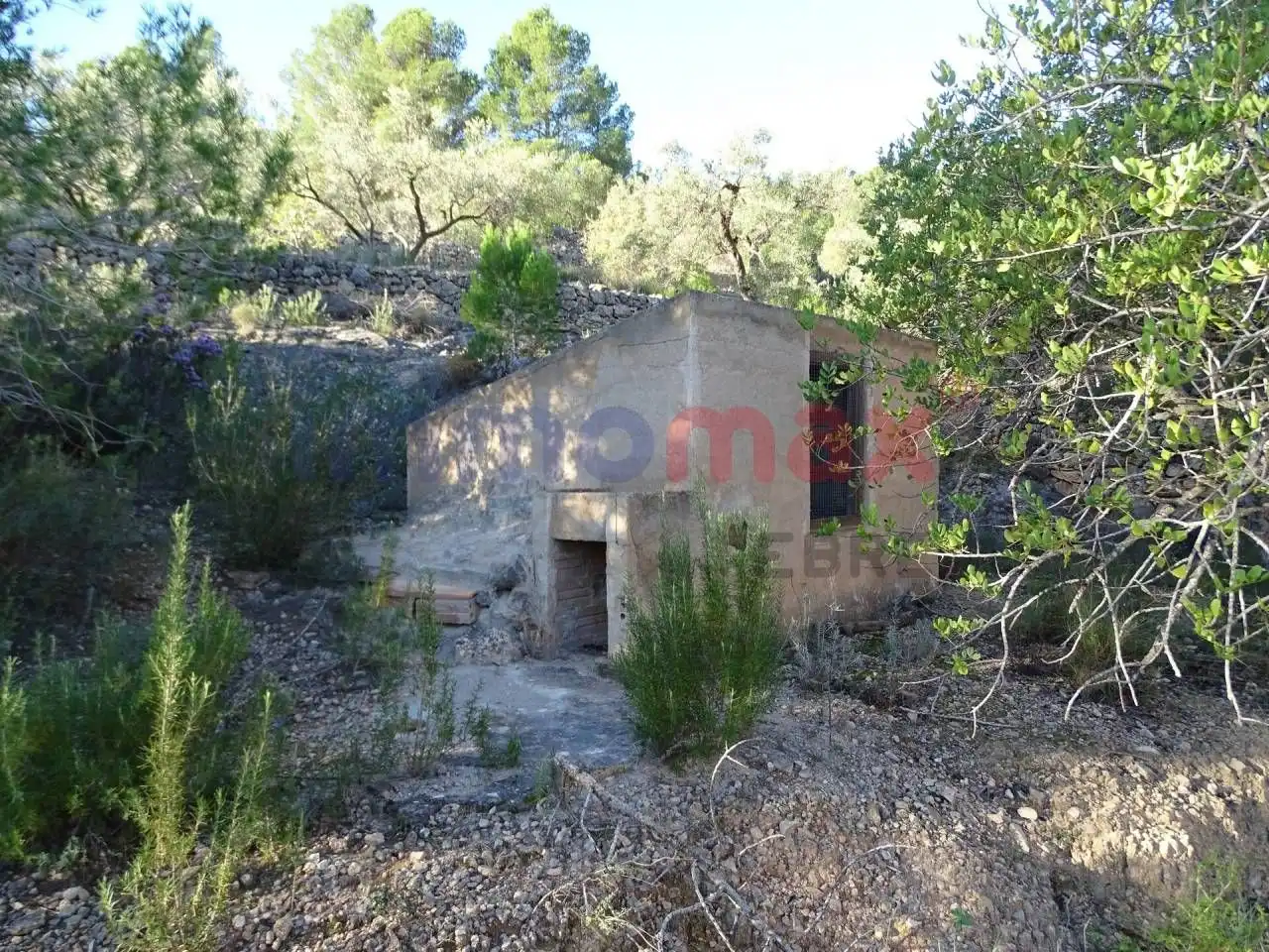 Terrain résidentiel à vendre à Xerta, imagen 9