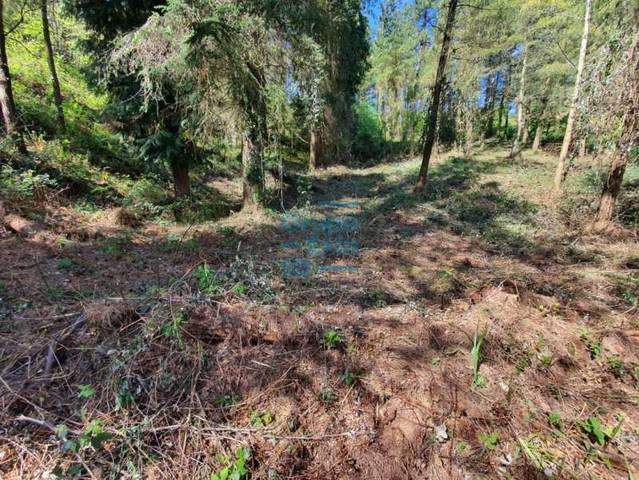 Terreno residencial en Venta en Segura