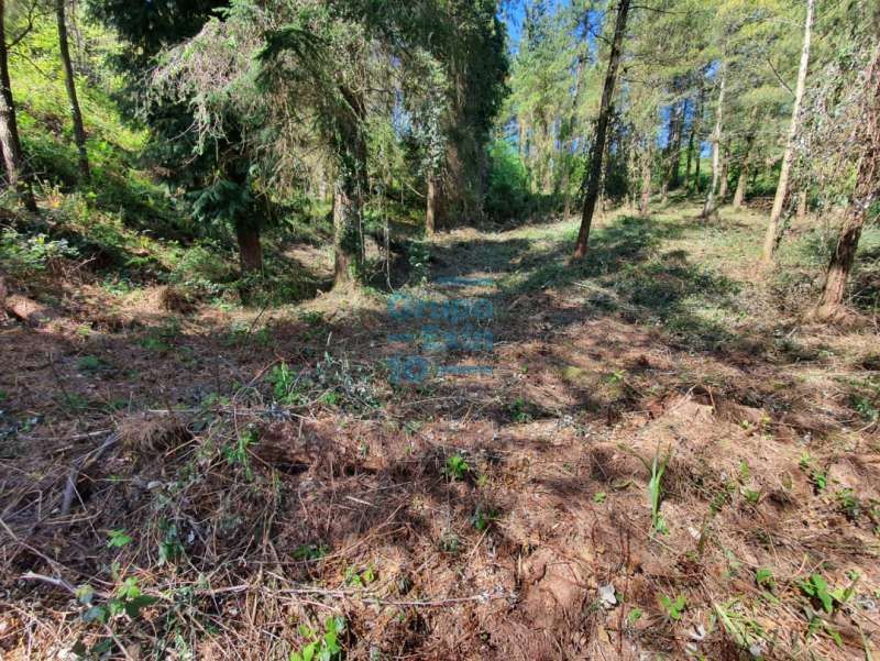 Residential for sale in Segura