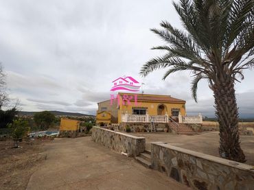 Detached house with pool for sale in Don Álvaro