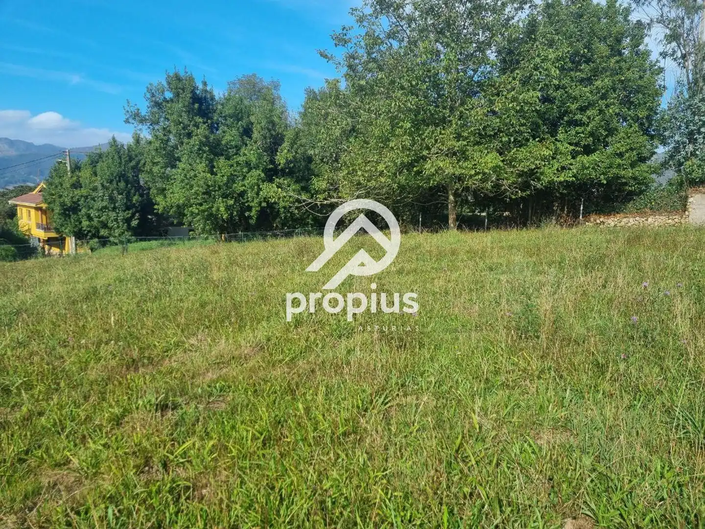 Rural land for sale in Arenas, imagen 6
