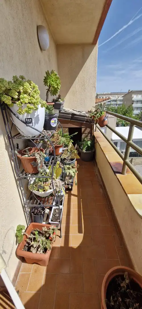 Appartement compact avec ascenseur à vendre à Zona Papa Luna - Platja del Gurugú, imagen 7