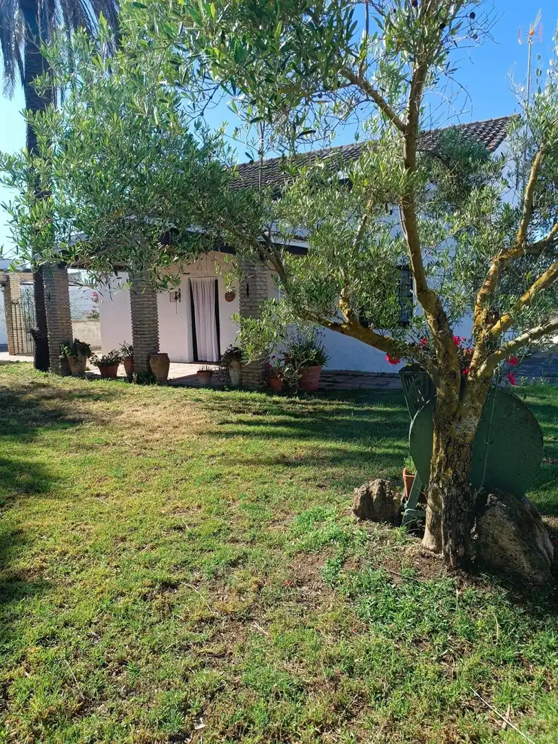 Jardín de Casa o chalet en venta en Puerto Real