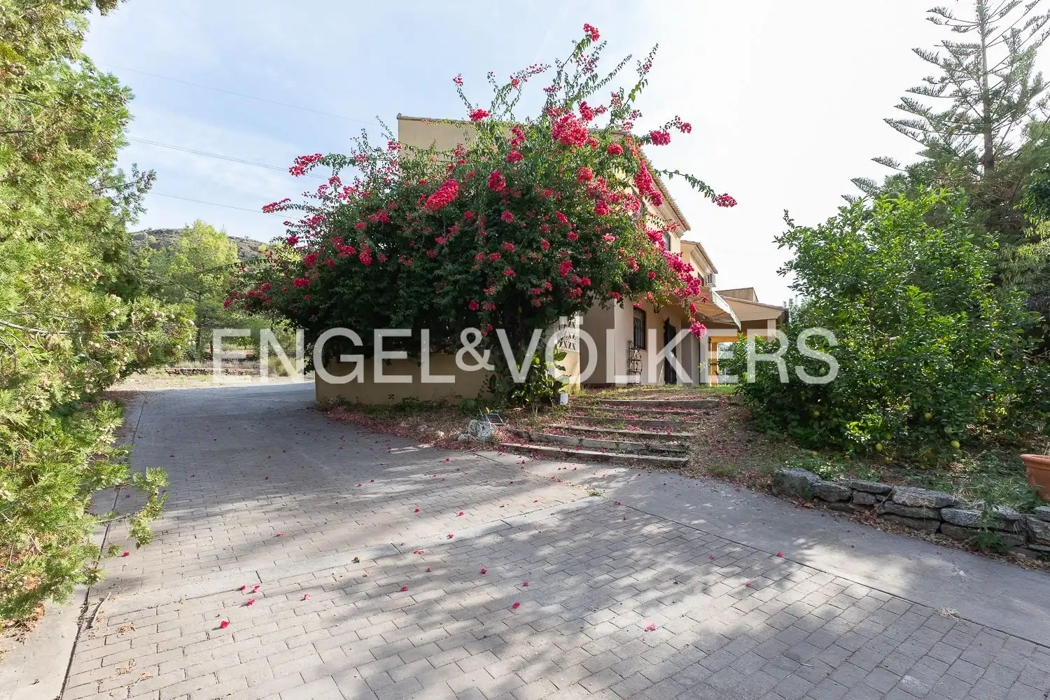 Casa con terraza en alquiler en Polígono 2 Parcela 127 PONERA. PETRES (VALENCIA), imagen 49