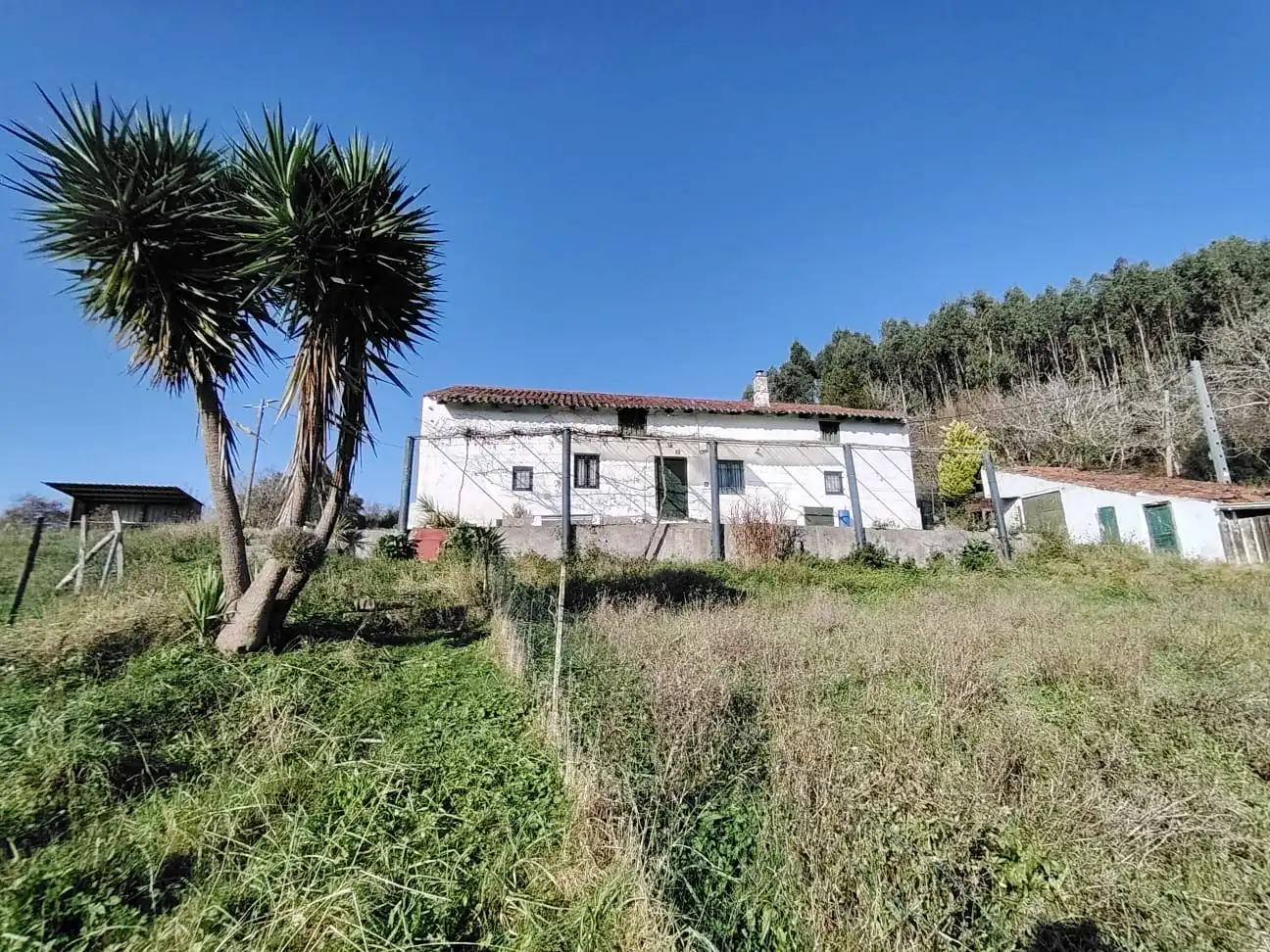 Vista exterior de Casa o chalet en venta en Gorliz con Jardín privado y Trastero