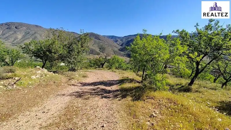 Rural land for sale in Felix, imagen 18