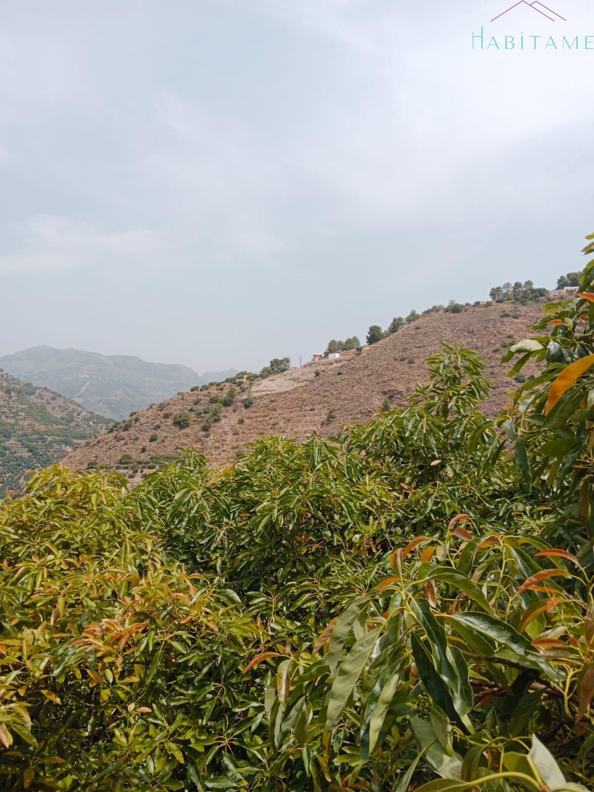 Residential zum verkauf in Jete