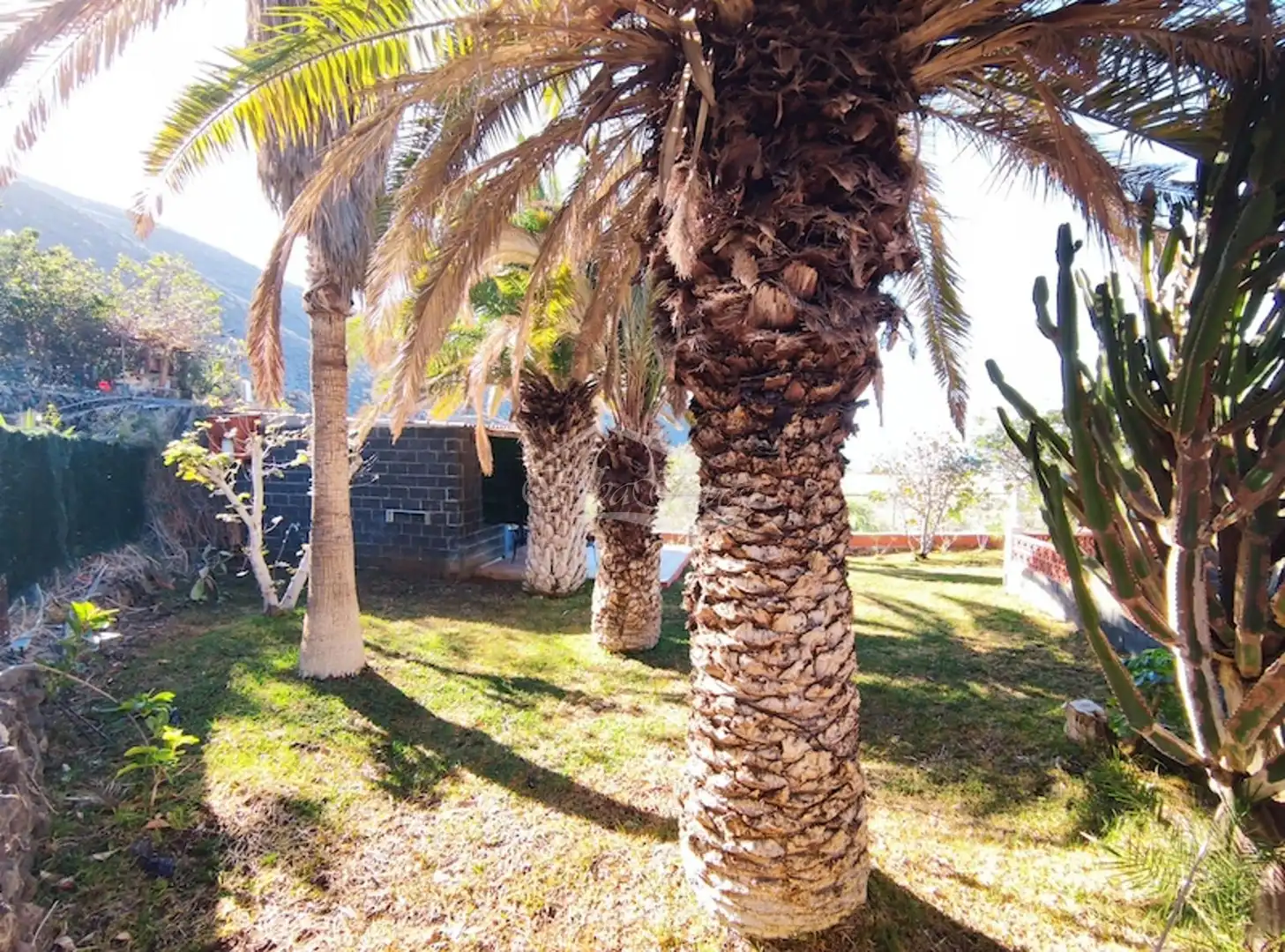 Jardí de Casa o xalet en venda en Santiago del Teide amb Jardí privat, Terrassa i Moblat