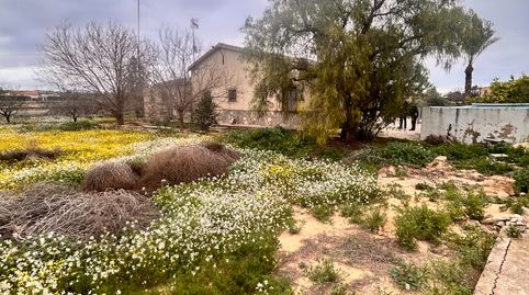 Photo 4 of Houses for sale in Partida de Matola, La Algoda - Matola - Llano de San José, Elche / Elx