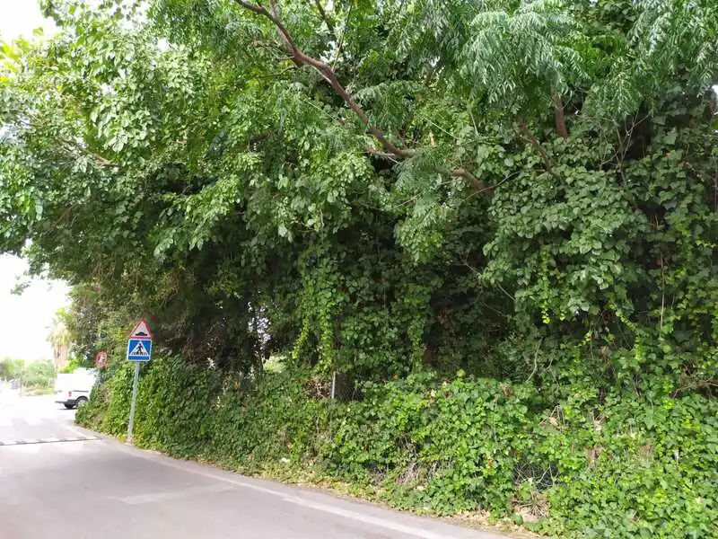 Terrenys i solars en venda a Carril Torre Ibañez, imagen 2