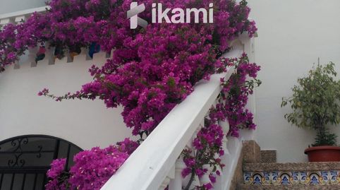 Foto 5 von Dachboden zum Verkauf in Oliva Nova, Oliva