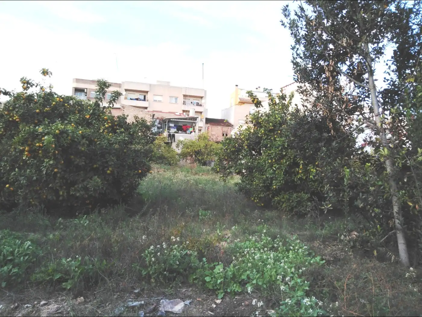 Rural land for sale in Pedanías Este, imagen 4