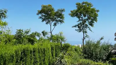 Ground floor with pool for sale in El Pinillo, imagen 6