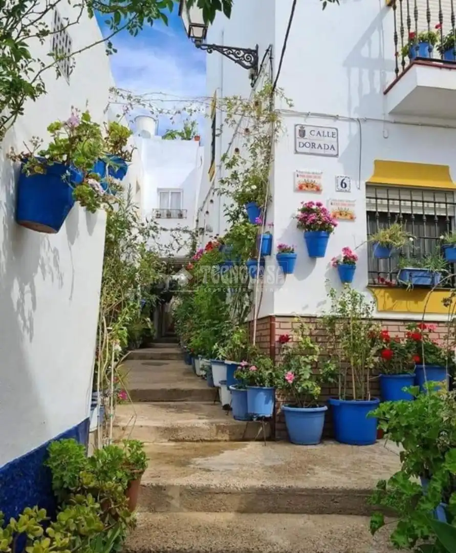 Locale commerciale in vendita a Conil, imagen 19