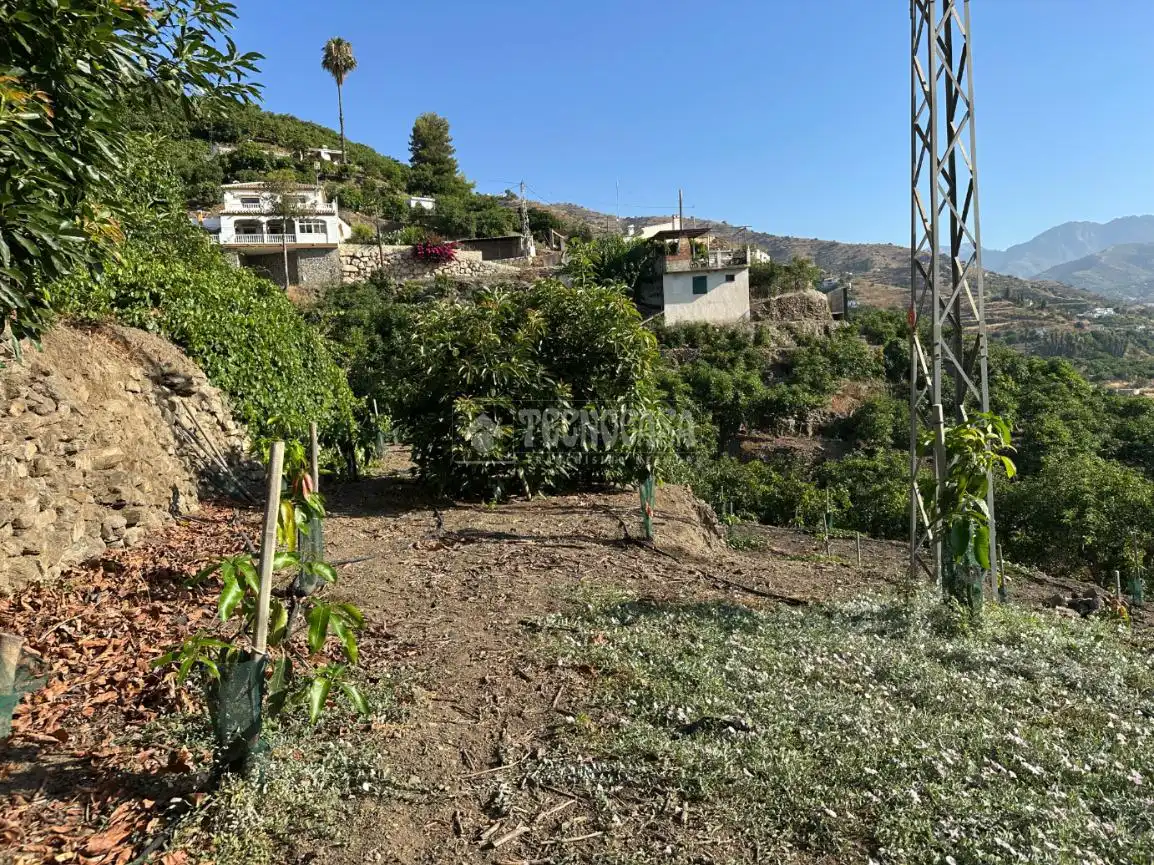 Terreni e lotti in vendita a Torrox Pueblo, imagen 5