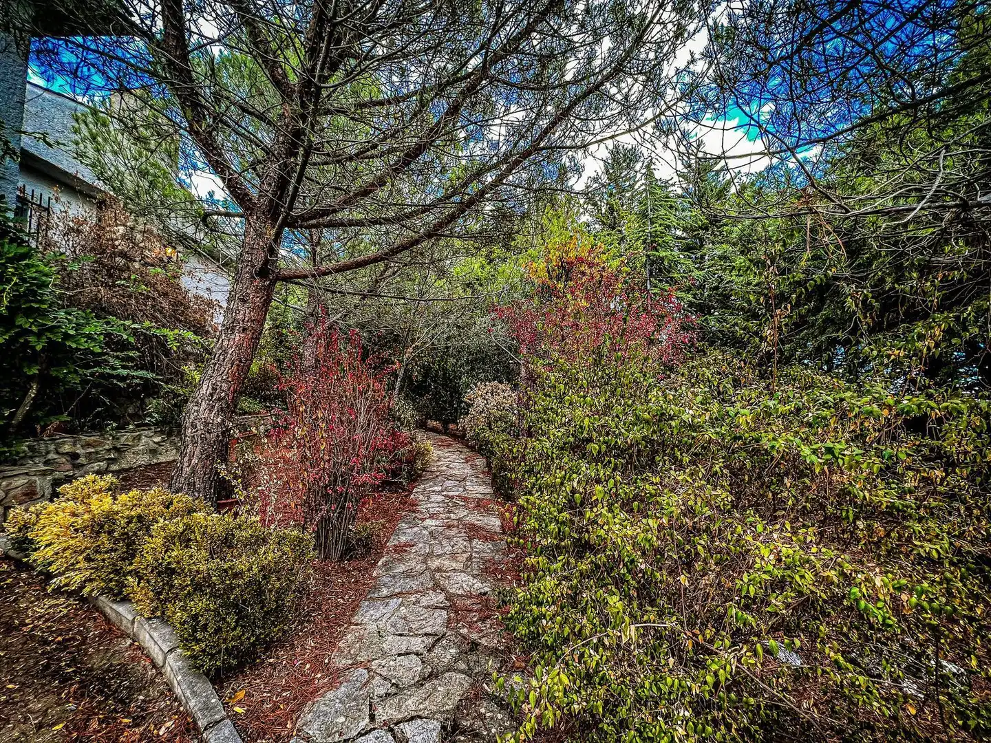 Jardí de Casa o xalet en venda en La Cabrera amb Jardí privat, Terrassa i Traster