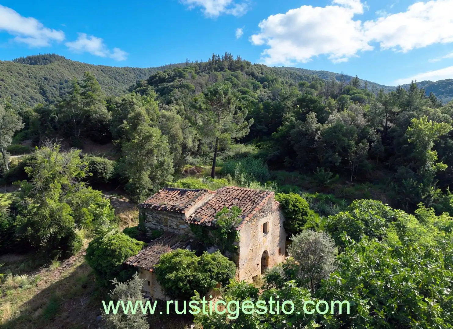 Jardín de Finca rústica en venta en Osor con Jardín privado