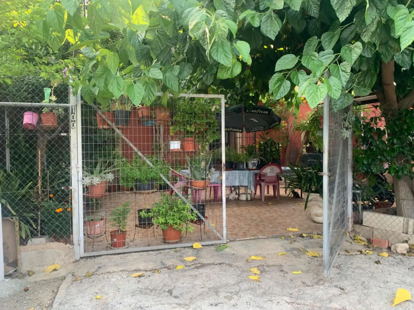 Finca rústica en venda a Alquerías