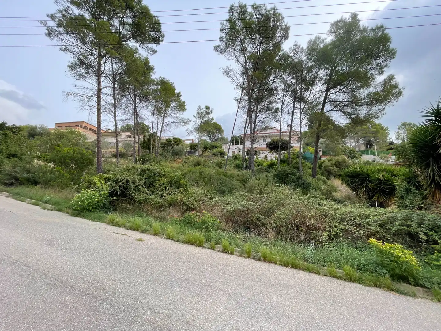 Terreny residencial en venda a Carrer de l'Alzina 25, imagen 9