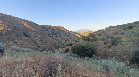 VENTA FINCA CON VIÑEDOS LOS LAGARES, immagine 3