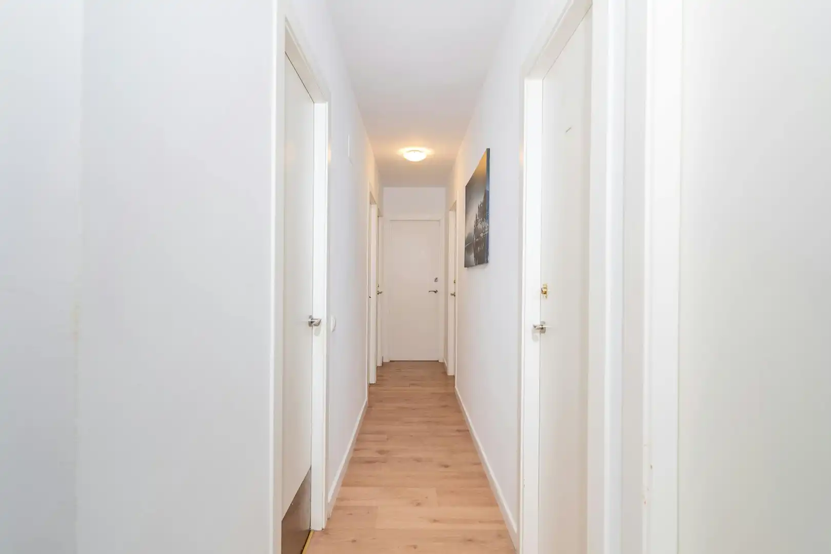 Room in N/A, L'Illa Perduda