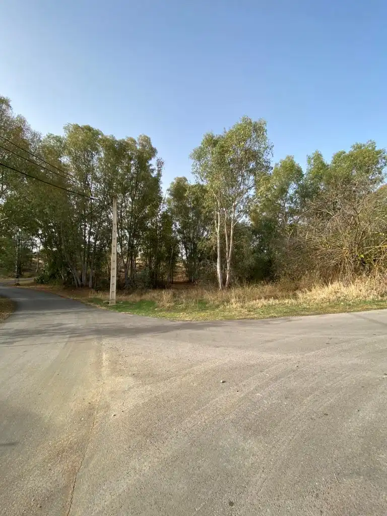 Grundstücke und Bauplätze zum Verkauf in Avenida Proserpina 60