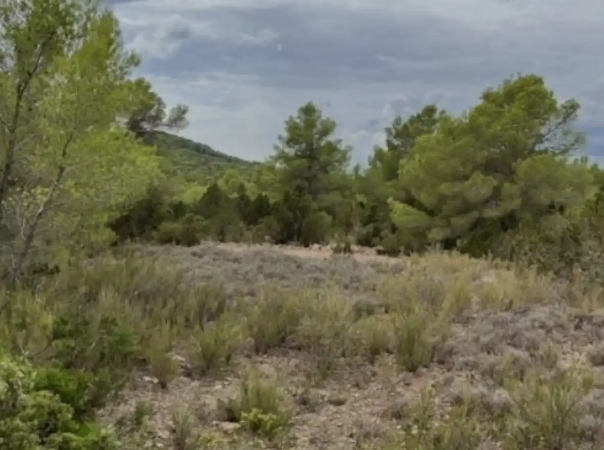 Terreno residenziale in vendita a La Sentiu, imagen 4