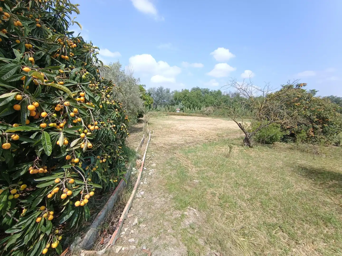 Casa o chalet en venta en Alguazas con Jardín privado y Trastero